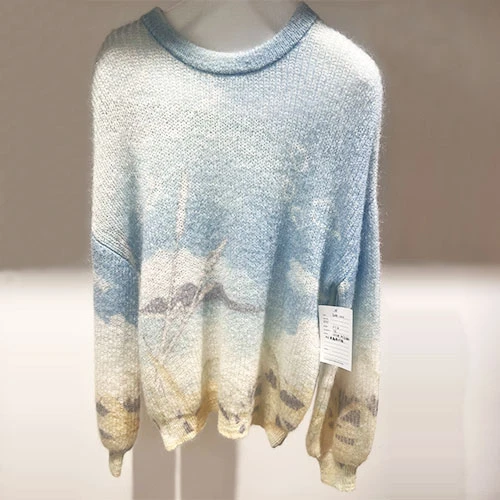 Kujundaja Cerwneck kampsunid